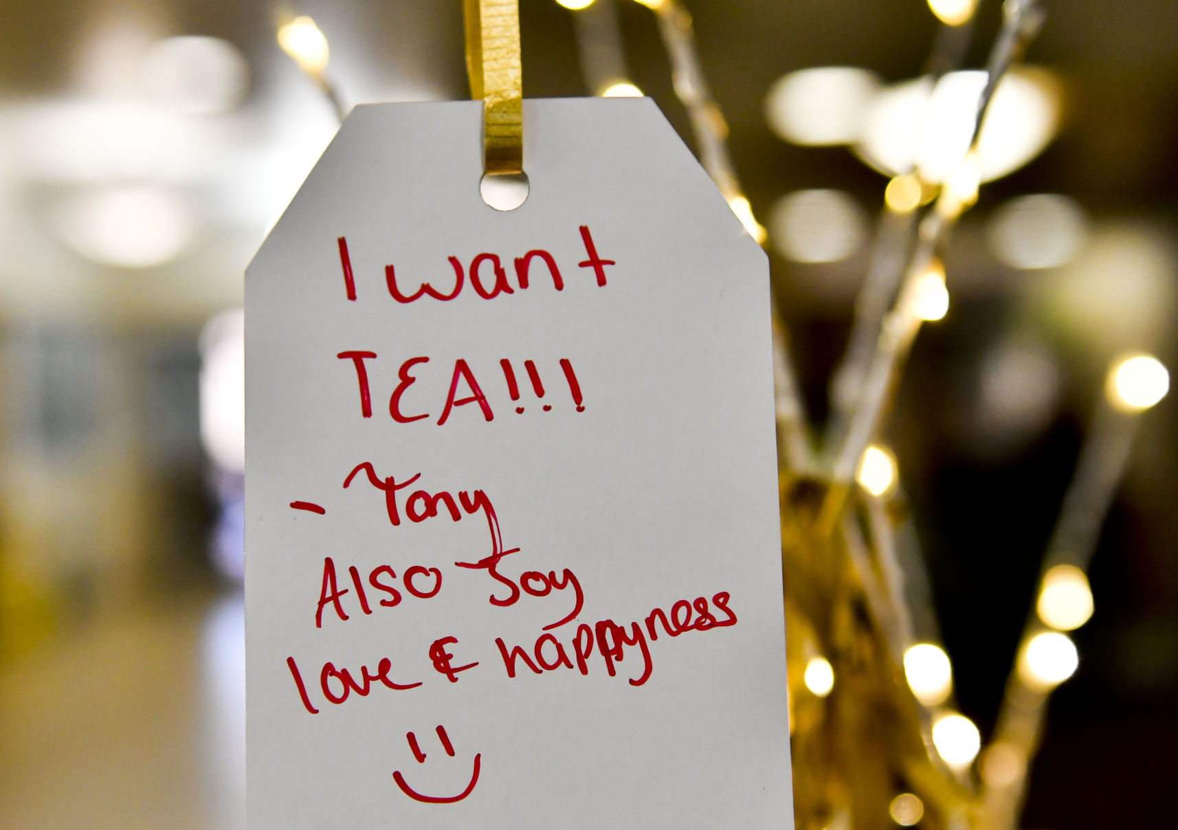 113018 Library wishing tree 03.jpg